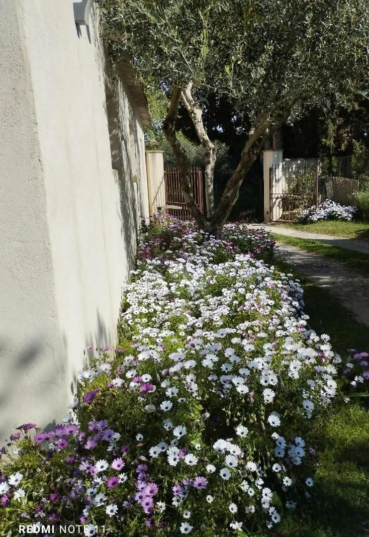 Maison De Campagne En Provence Barbentane 0*,  France
